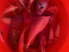 -深圳海钓·深圳钓鱼·拓展聚会鱼排