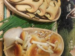 -季季山·云南野生菌火锅(上海首店)