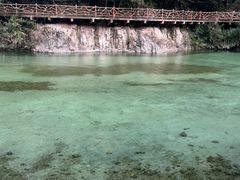 -龙湾潭国家森林公园