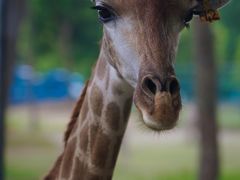 -常州淹城野生动物世界