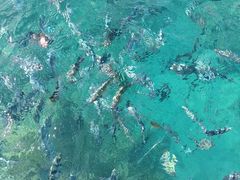 -蓝湾海滩