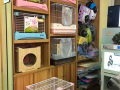 -宠物兔专门店(天丰利市场店)
