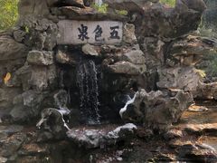 -上海醉白池公园