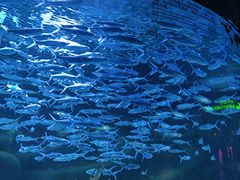-正佳极地海洋世界