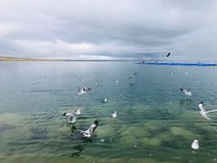 -青海湖国家重点风景名胜区