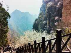 -狼牙山风景区
