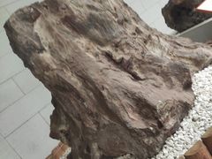 -北京SKP