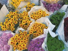 -循礼门鲜花花市(武汉循礼门店)