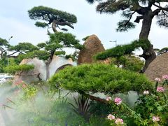 -罗红摄影艺术馆