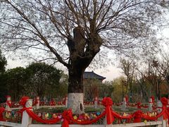 -董永七仙女文化园