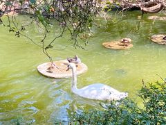 -昆明动物园