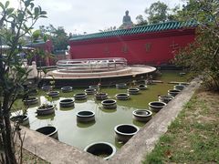 -宝莲禅寺