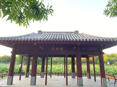 -云居湖