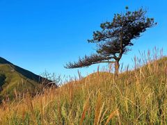 -萍乡武功山风景名胜区