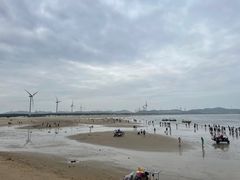 -长江澳风力发电景观区