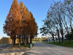 -尚贤河湿地