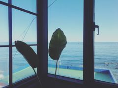 -Cafe Rooftop Cheongsapo