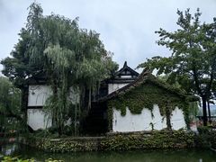 -鲁镇