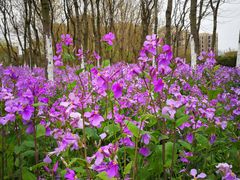 -白塘生态植物园