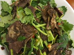 牛腱子拌香菜-全乐鱼馆·淳牌有机鱼直营店