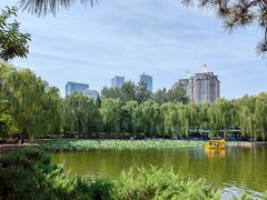 -团结湖公园