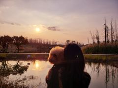 -白鹭湾湿地公园