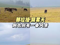 -新疆那拉提国家旅游度假区