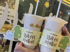 -猫的魔法密林(衣裳街店)