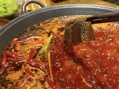 -钢管厂五区小郡肝火锅串串香(总店)