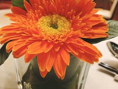 -东海朗廷酒店-唐阁T’ANG COURT 中餐厅