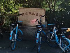 -小洲村