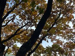 -五女峰国家森林公园