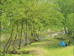 -嵖岈山风景区