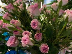 -亭亭鲜花店(中山北路店)