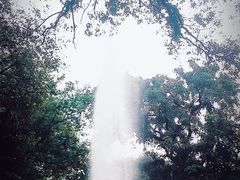 -九龙公园