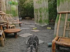 -南枝小馆(银鱼巷店)