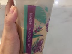 -CHEERS CHEESE 干杯起司(夏湾店)