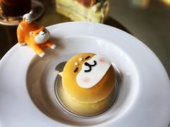 -柴务处·柴犬主题狗咖