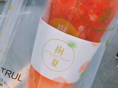 树夏草莓（始于颜值，陷于美味）-树夏(建设路店)