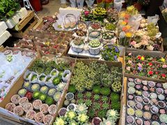 -循礼门鲜花花市(武汉循礼门店)