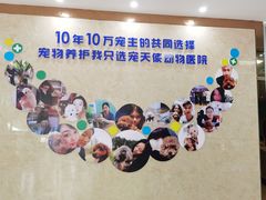 -天使宠物医院·犬猫分诊(彩虹店)