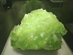 -湖南省地质博物馆