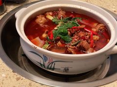 -先机泉水鸡汤(南山老君洞店)