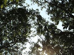 -沂蒙山旅游区云蒙景区(蒙山国家森林公园)