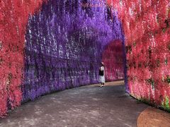 -歌斐颂巧克力小镇