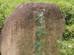 -中国茶叶博物馆(双峰馆区)