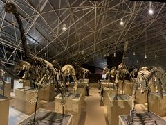 -世界恐龙谷景区