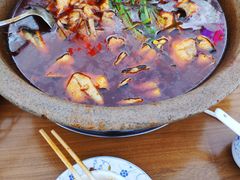 -都江堰石锅鱼
