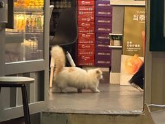-BIGHEAD大头家咖啡馆(蛇口店)