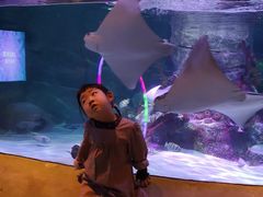 -沈阳海洋探索中心